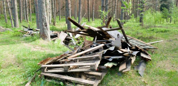Debris Removal Service in Phenix City