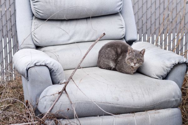 Recliner Disposal in Phenix City